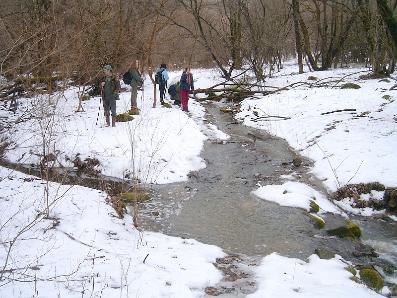 20100220 069.jpg